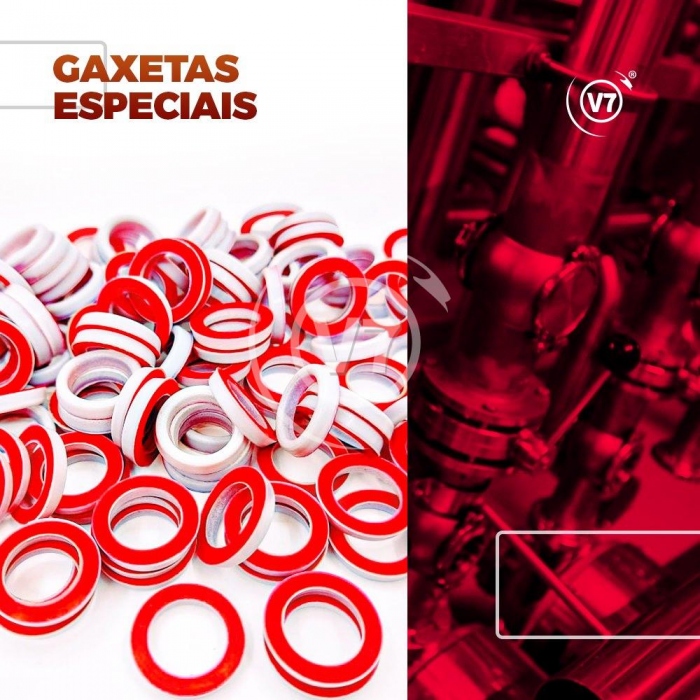 GAXETAS ESPECIAIS