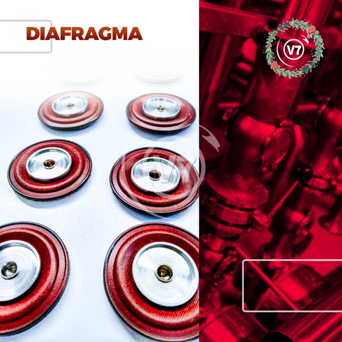 Diafragma