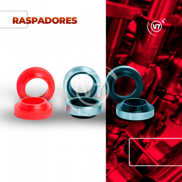 RASPADORES